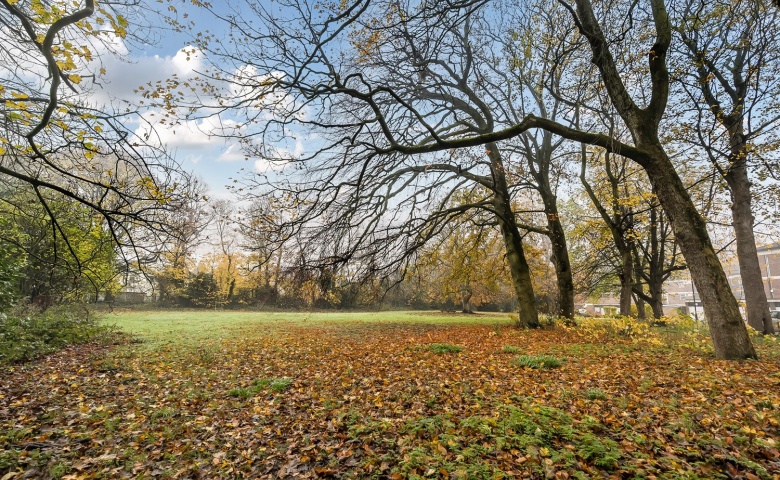 Foxhill Court, Weetwood