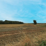 Leeds Road, Scholes