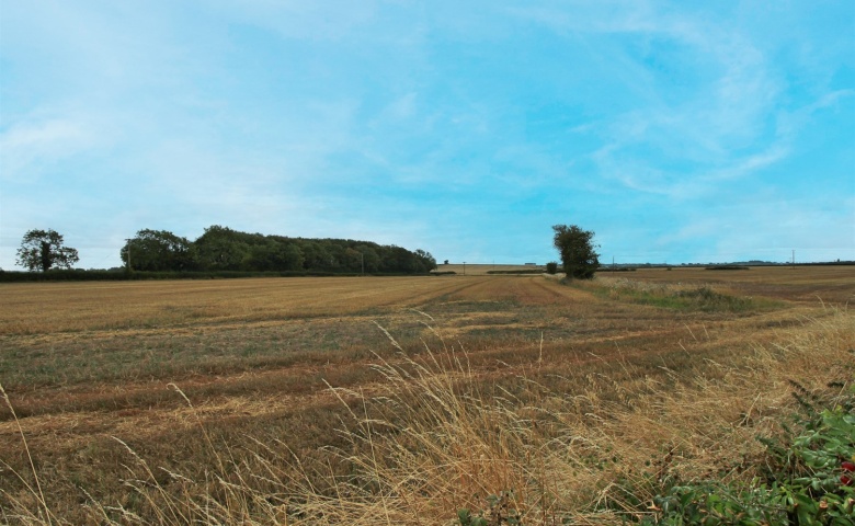 Leeds Road, Scholes