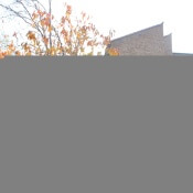 Frizley Gardens, Bradford